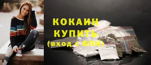 шишки Армянск