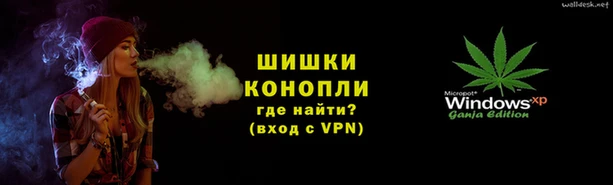 шишки Армянск