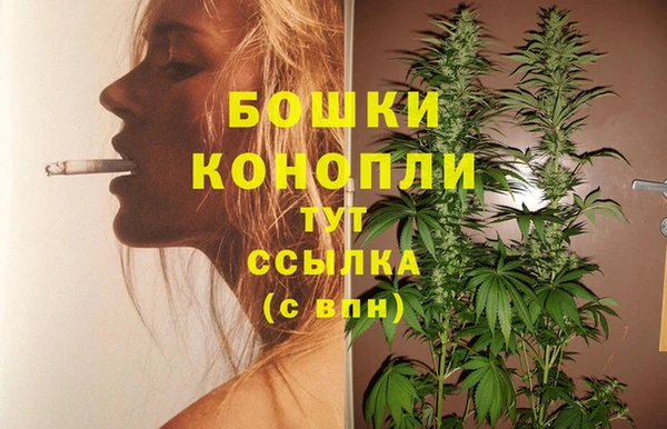 бошки Арсеньев